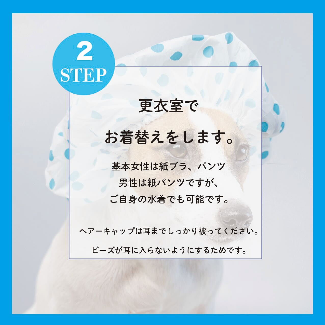 📢【いよいよオープン間近です！】