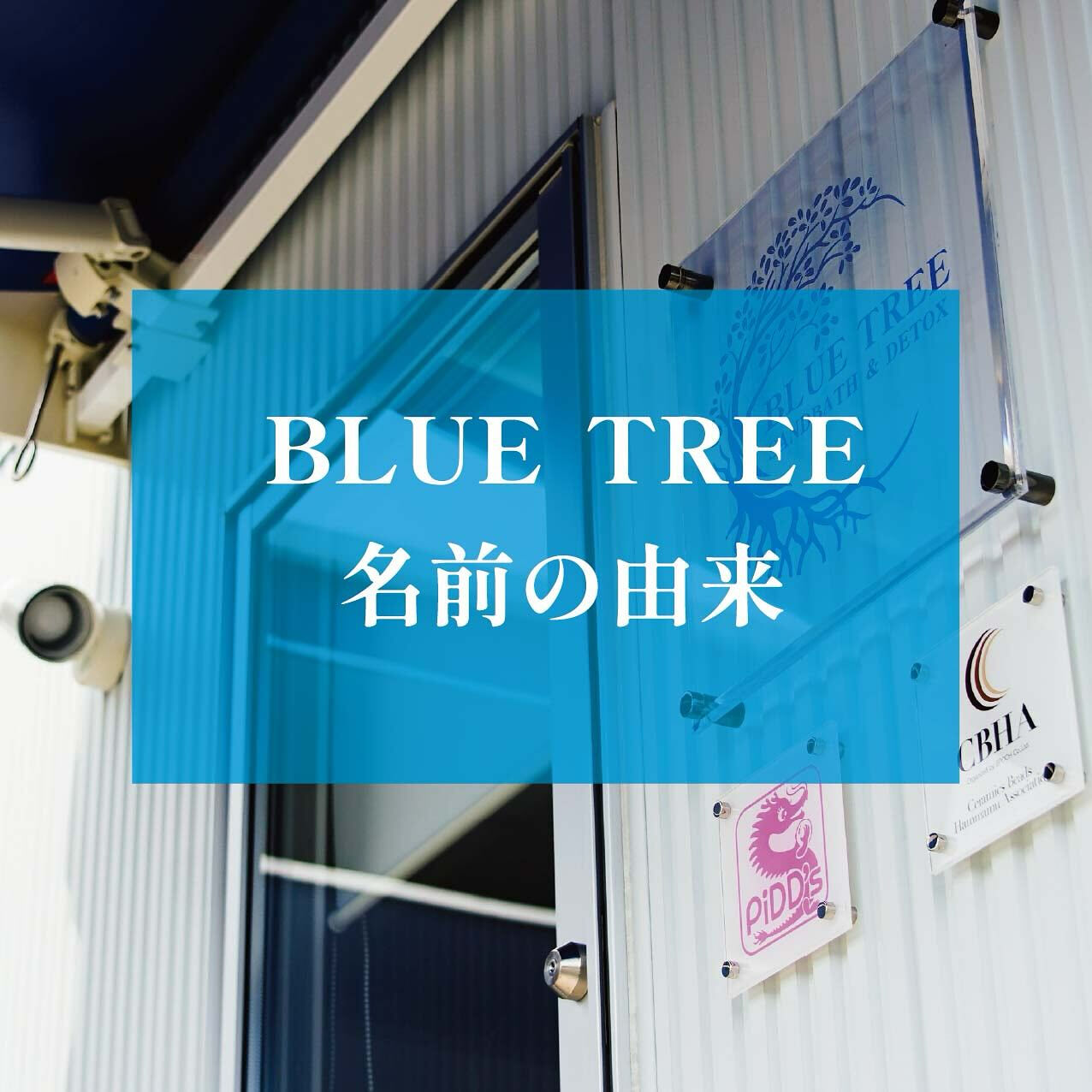 📔【BLUE TREEという名前の由来】